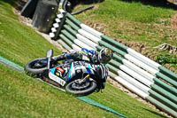 cadwell-no-limits-trackday;cadwell-park;cadwell-park-photographs;cadwell-trackday-photographs;enduro-digital-images;event-digital-images;eventdigitalimages;no-limits-trackdays;peter-wileman-photography;racing-digital-images;trackday-digital-images;trackday-photos